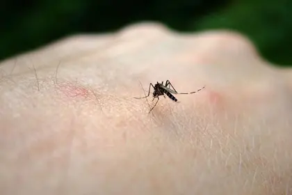 Investigan cuarto posible deceso por chikungunya en Santa Cruz