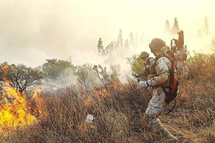 Emergencia nacional: Bolivia registra 72 incendios forestales; el fuego ya consumió casi 4 millones de hectáreas 