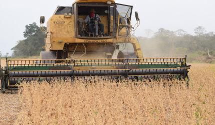 Agro pide al Gobierno fijar precio del trigo, a pocas semanas de la siembra de invierno