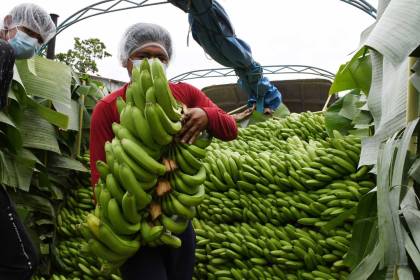 Adhesión al Mercosur: Productos agropecuarios e industriales tendrán facilidad para transitar por países vecinos, según el Gobierno