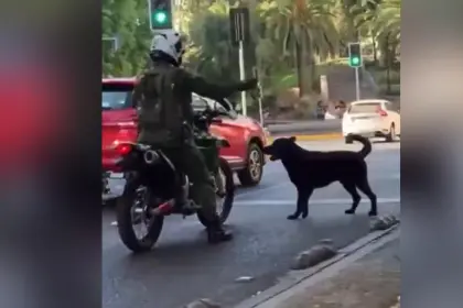 Video: Policía le rocía gas pimienta a un perro que le ladraba en pleno semáforo 