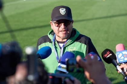 Esto recién empieza: Villegas seguirá liderando el proyecto de la Verde