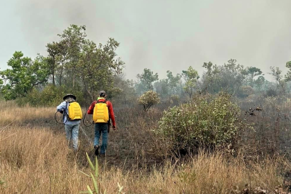 Los incendios forestales en Santa Cruz se redujeron a tres, confirma el COED 