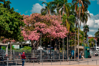 ¿Habrá lluvias o altas temperaturas? Conozca cómo estará el clima en el país en el inicio de la primavera