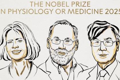 Nobel Medicina para Brunkow, Ramsdell y Sakaguchi por tolerancia inmunológica periférica