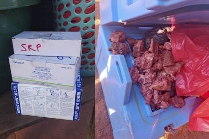 Dos aprehendidos por transportar carne en recipiente para vacunas: “Rompieron la cadena de frío”, dice ministra