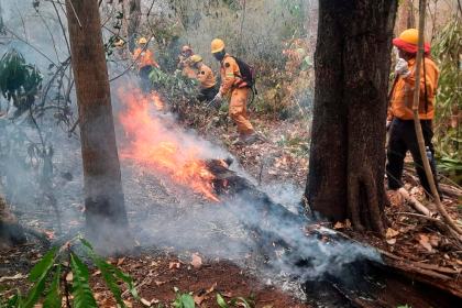 Bolivia registra 5.663 focos de calor; 72% están en el departamento de Santa Cruz 