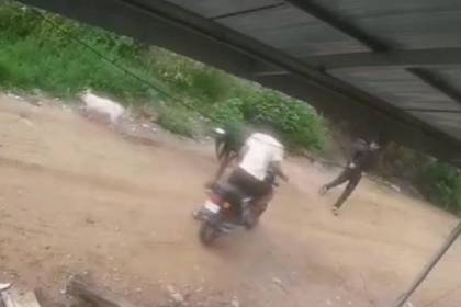 Video: Tres hombres en moto intentaron robar cerdos en Montero 