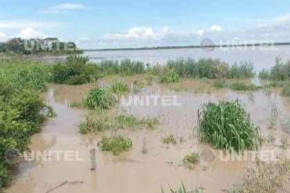 Santa Cruz: Río Grande rompe un dique e inunda sembradíos de Montero Hoyos