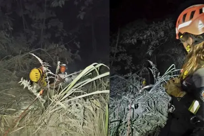 Tres fallecidos y un niño herido luego que un vehículo se embarrancara en Caranavi 