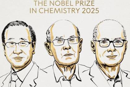 Nobel de Química para Kitagawa, Robson y Yaghi por el desarrollo de estructuras metal-orgánicas