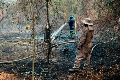 Incendio en el Curichi La Madre de la capital cruceña fue controlado