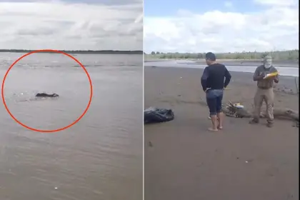Identifican al hombre hallado sin vida flotando en el río Grande en Puerto Paila; aún hay un desaparecido 