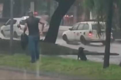 Video: En medio de la intensa lluvia un hombre rescata a un perro atrapado en un canal de drenaje