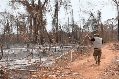 Envían a la cárcel a tres personas acusadas de provocar incendios en Bajo Paraguá 