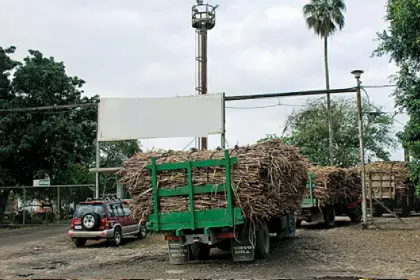 Según cañeros, el Gobierno empezó a desembolsar pagos adeudos por etanol