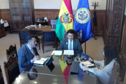 El Gobierno de Bolivia denuncia ante la OEA que “buscan quebrantar el orden constitucional” y menciona las muertes en medio de los bloqueos