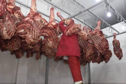 Ganaderos rechazan que el Gobierno y carniceros fijen sin consenso una banda de precios para la carne de res