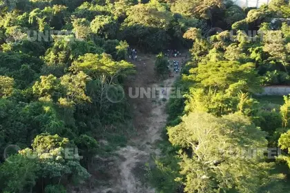 Santa Cruz: Concejal Morón denuncia que pausa administrativa incrementó la deforestación en el Cordón Ecológico 