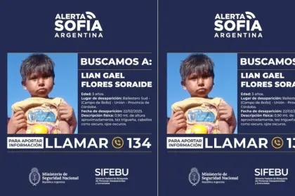 Argentina: niño de padres bolivianos es buscado con drones, helicópteros y perros adiestrados