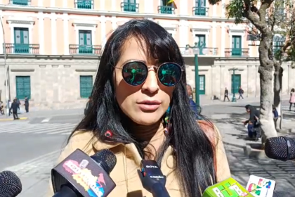 ¿Por qué se detuvo a Wilma Alanoca, exministra de Evo? Esto es lo que dice el viceministro Paredes