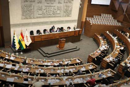 Diputados aprueban la ley del prediario y el bono de vacunación; Velasco y De Paiva saludan la decisión