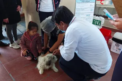 Cochabamba se prepara para la vacunación antirrábica masiva este 22 y 23 de noviembre