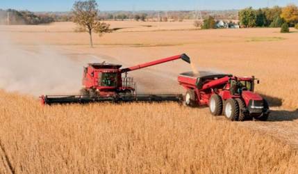 Ante falta de propuesta de Emapa, productores piden fijar precio del trigo en $us 415 por tonelada