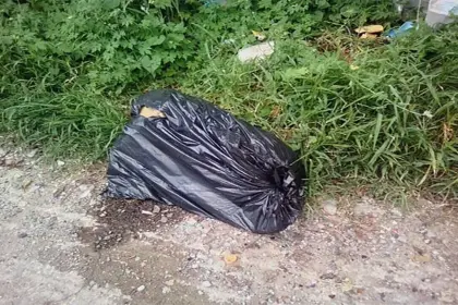 Sujeto llamó a su expareja para que lo ayude a desmembrar a una mujer y repartir los restos en varias zonas de La Paz