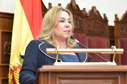 Plan contra avasallamientos incluye revisión predio por predio y desalojos con la Policía y la Fiscalía, dice decana del TSJ 