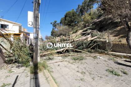 La Paz: Un árbol del parque Montículo cayó sobre una calle afectando el muro y las rejas de una casa 