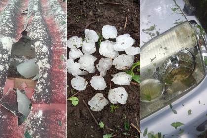 Video: Intensa granizada causa daños materiales y afecta cultivos en Vallegrande 