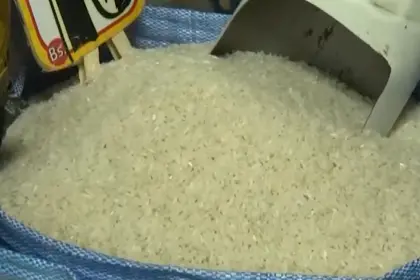 Santa Cruz: Precio del kilo arroz se encuentra entre Bs 10 y Bs 20 