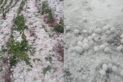 Las lluvias y granizadas en Cochabamba han afectado a 13 municipios y más de 2.500 familias