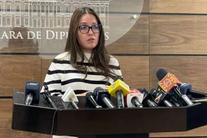 “El Órgano Electoral me inhabilitó por no haber renunciado al cargo (electivo)”, señala diputada Campero 