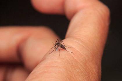 Sedes declara emergencia sanitaria por dengue y chikungunya en Beni