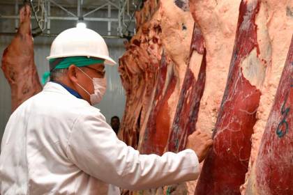 Nuevo mercado de exportación: Egipto abre sus puertas a la carne boliviana
