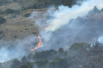 Incendios forestales amenazan y ponen a prueba capacidad de respuesta en Santa Cruz, Cochabamba y Tarija