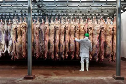 Apertura de mercados “es un oxígeno” para la economía de Bolivia, señala presidente de la CAO