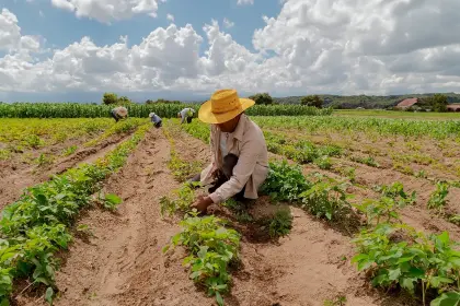 Confeagro pide a Rodrigo Paz promulgar la ley que permite convertir pequeña propiedad en mediana