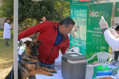 Campaña antirrábica en Santa Cruz: En qué municipios será y dónde estarán las brigadas