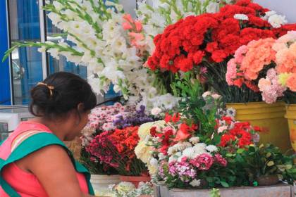 $output.data $output.data