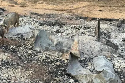 Pando: Hallan un cuerpo y dos columnas vertebrales tras incendio en una choza cerca de la frontera con Brasil