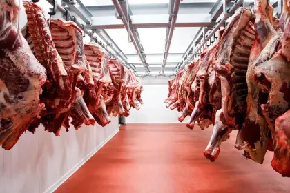 Paz critica a intermediarios: “No puede ser que digan que la carne sube porque se va a Egipto’”