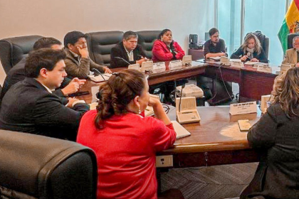 Convocan a comisión de Constitución de Diputados para tratar ley que regula el Estado de excepción