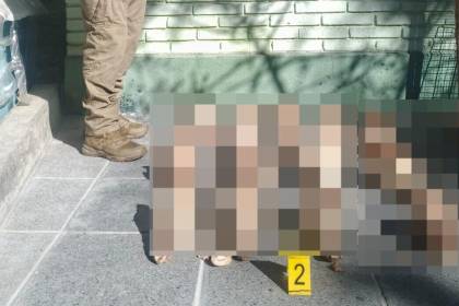 Hallan 25 cráneos en un basurero y se investiga si son de perros