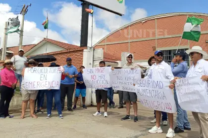 Porcicultores protestan ante nueva subida del grano de maíz que pasó de Bs 45 a Bs 155 el quintal