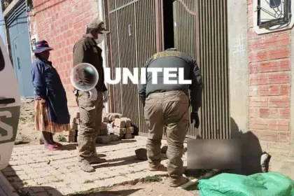 Hallan a un bebé sin vida atacado por perros callejeros, reporta la Policía