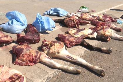 Abigeato: Fegasacruz cree que aprehendidos participaron de otros hechos y que la carne estaba dirigida a dos mercados