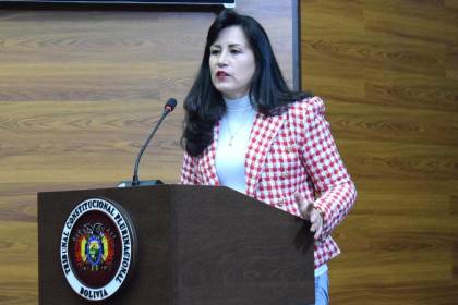 Presidenta del TCP: “Se acabaron los telefonazos, no le debemos nuestro trabajo a ningún grupo político o sector económico” 